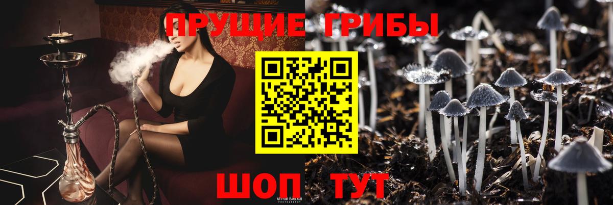 Псилоцибиновые грибы Cubensis Большой Камень