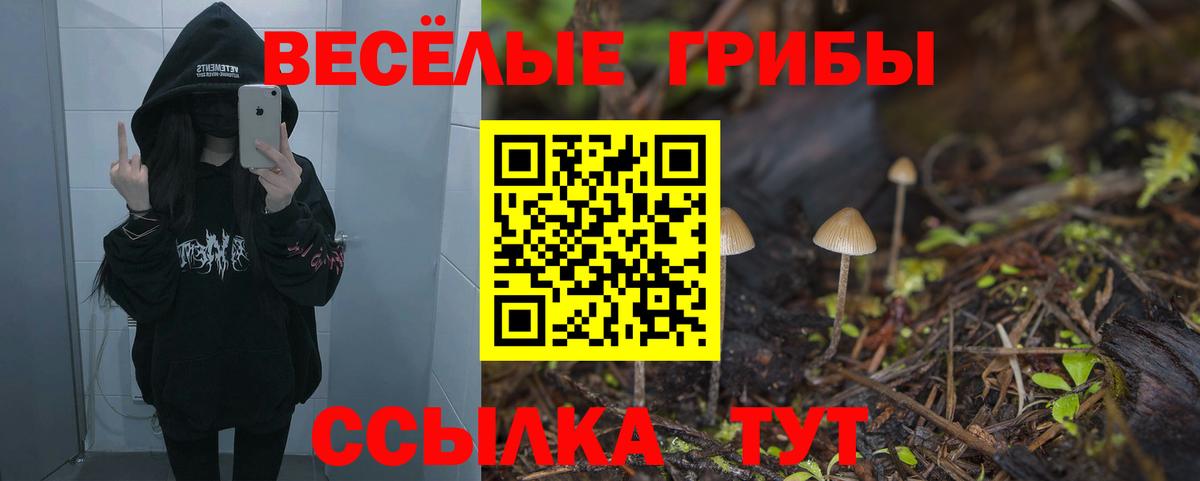 Псилоцибиновые грибы MAGIC MUSHROOMS  Галлюциногенные грибы мухоморы  Вход с VPN  цены наркотик  Большой Камень 
